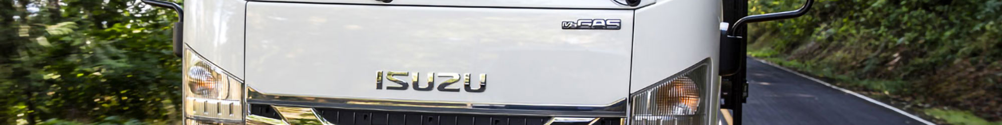 Isuzu truck