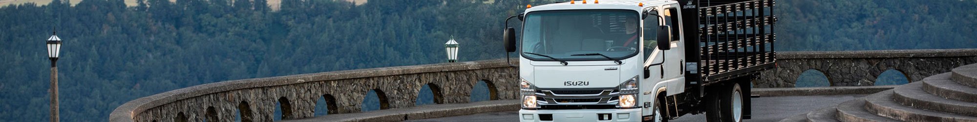 Isuzu truck
